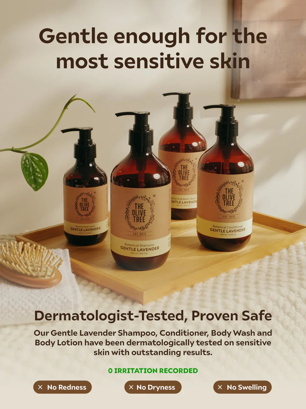 New Olive Tree - Body Care